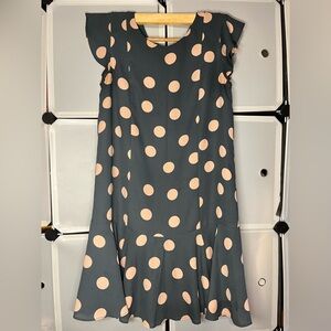 Loft Polka Dot Dress